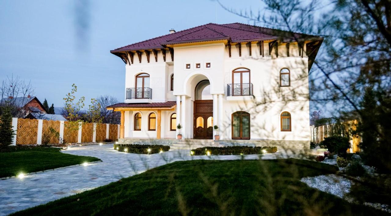 Conacul Olarilor Bed and Breakfast Baia de Fier Εξωτερικό φωτογραφία